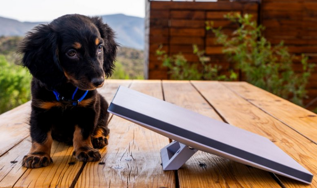 Screenshot 2025-03-19 at 17.45.55